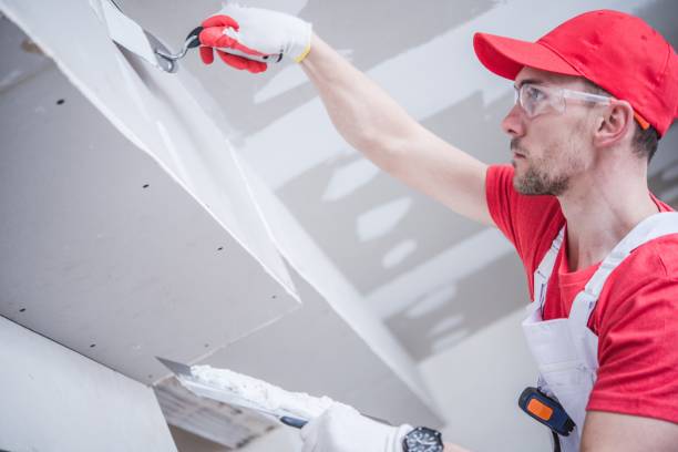 Best Water-Damaged Drywall Repair  in , ID